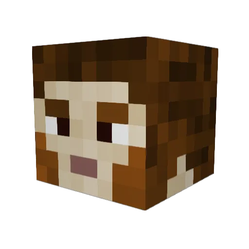 Sven2Win Minecraft avatar head, 3D render