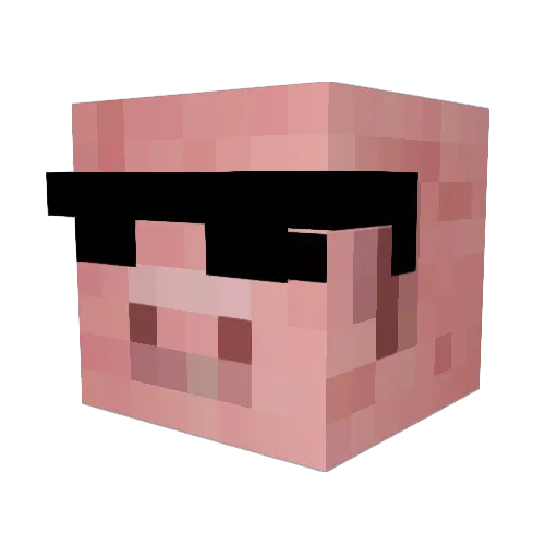Svenfrfr Minecraft avatar head, 3D render