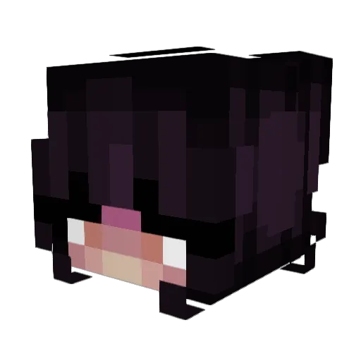 Svilky Minecraft avatar head, 3D render
