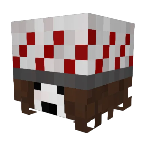Sw0rdGuy Minecraft avatar head, 3D render