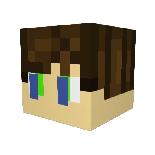Sw1ft59 Minecraft avatar head, 3D render