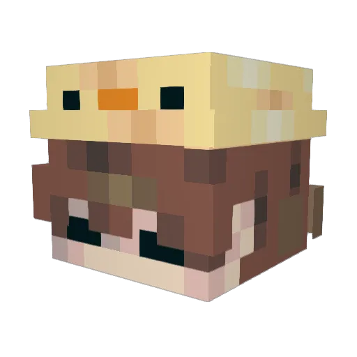 Sw1tch5 Minecraft avatar head, 3D render