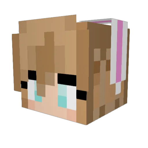 Sw33tAsChocolate Minecraft avatar head, 3D render