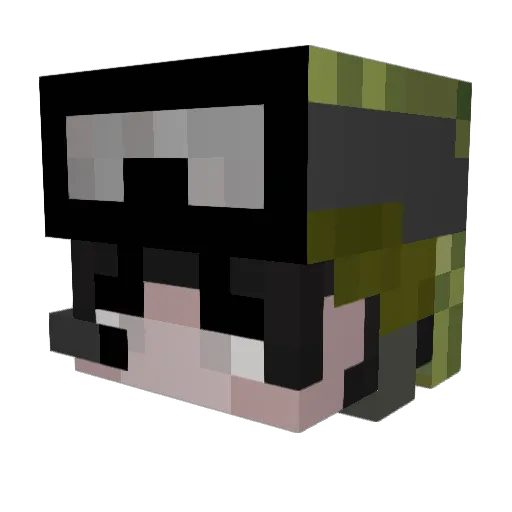 Sw3AtGuy Minecraft avatar head, 3D render