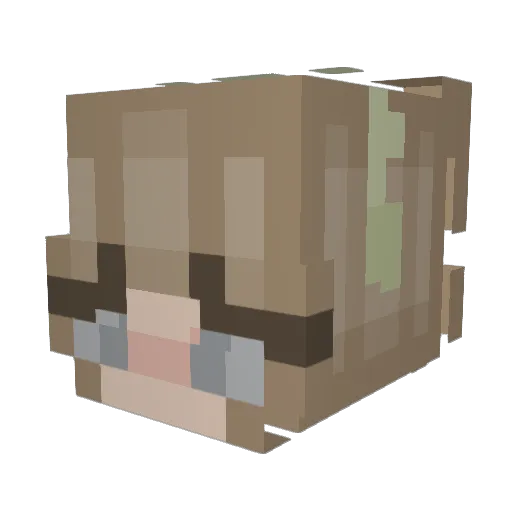 Sw4gFr0g23 Minecraft avatar head, 3D render