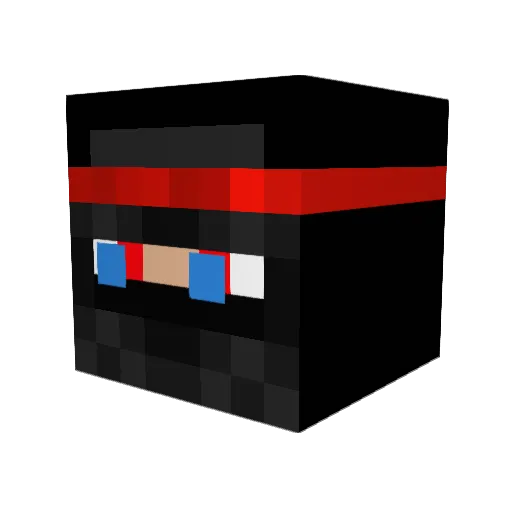 SwAgY_NiNjA Minecraft avatar head, 3D render