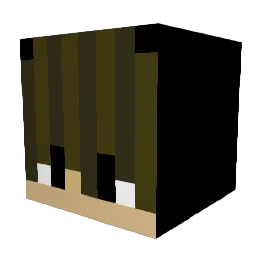 SwGommezz Minecraft avatar head, 3D render