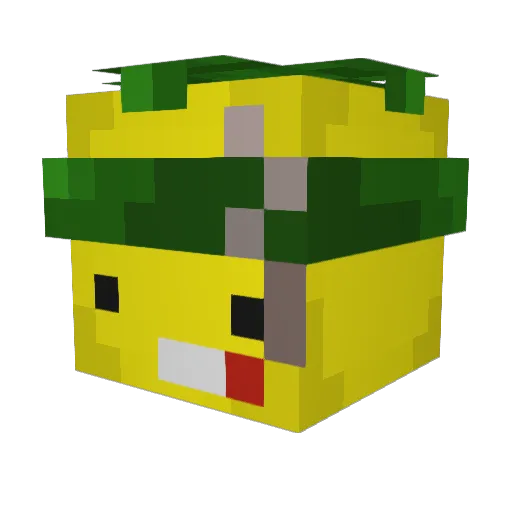 SwItch_Bam Minecraft avatar head, 3D render