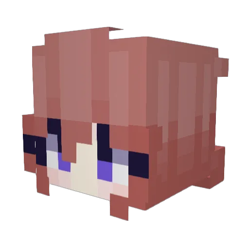 SwaSome2014 Minecraft avatar head, 3D render