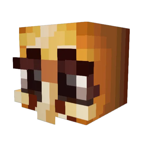 SwadeMC Minecraft avatar head, 3D render