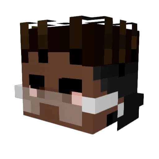 Swae1ee Minecraft avatar head, 3D render