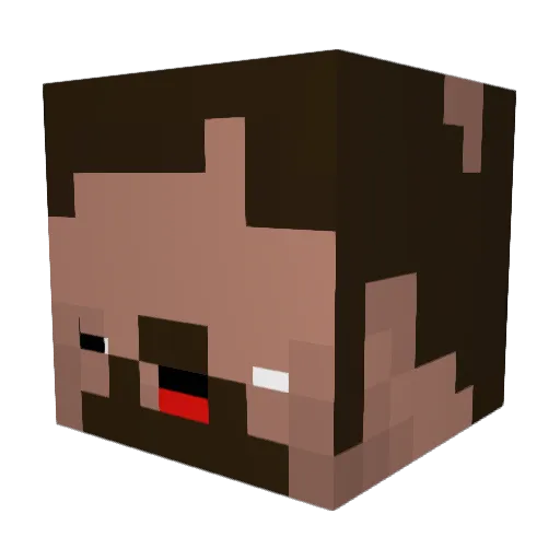 SwaegTurtle Minecraft avatar head, 3D render