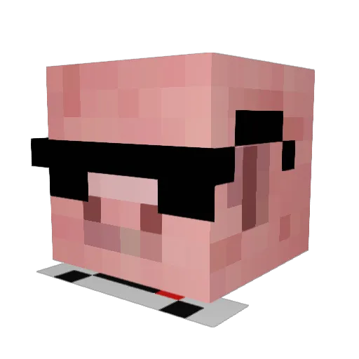 SwagBW Minecraft avatar head, 3D render