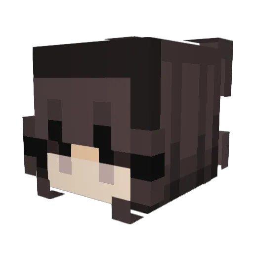SwagBear03 Minecraft avatar head, 3D render
