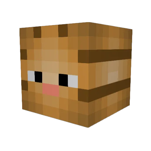 SwagDaddyyy1 Minecraft avatar head, 3D render