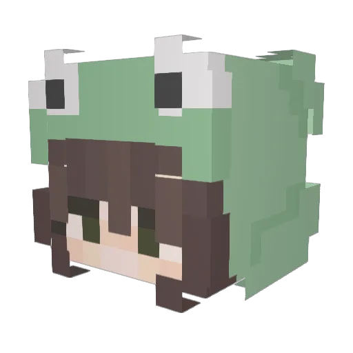 SwagFrog1029 Minecraft avatar head, 3D render