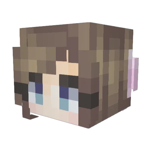 SwagLordAlpha Minecraft avatar head, 3D render