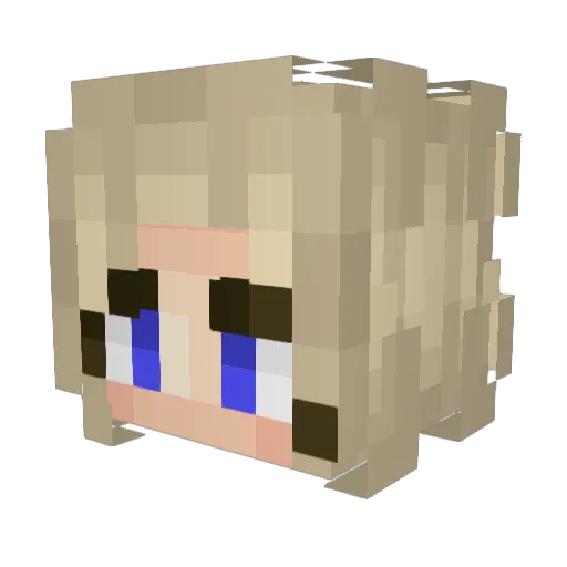 SwagLyfe4Yolo Minecraft avatar head, 3D render