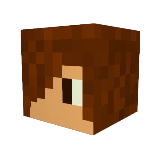 SwagMan110 Minecraft avatar head, 3D render