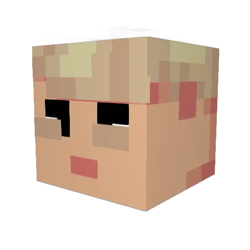 SwagMiester69 Minecraft avatar head, 3D render