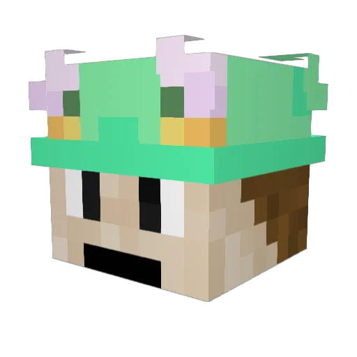 SwagMoney699 Minecraft avatar head, 3D render