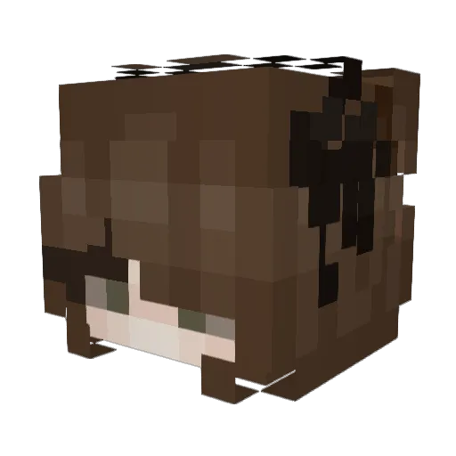 SwagToucher Minecraft avatar head, 3D render
