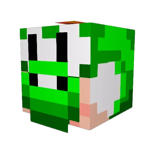 SwagTurtle2013 Minecraft avatar head, 3D render