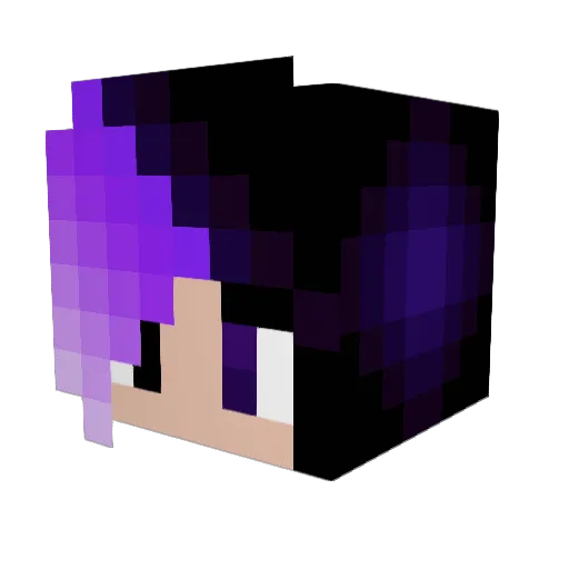 Swag_Is_Me Minecraft avatar head, 3D render
