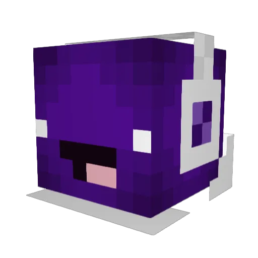 Swag_Juice_0717 Minecraft avatar head, 3D render