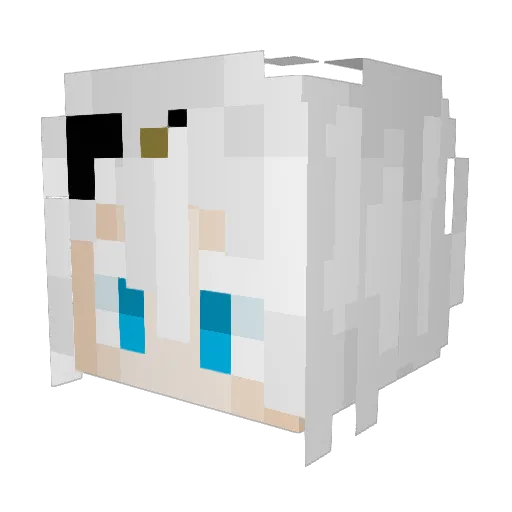 SwagathewS Minecraft avatar head, 3D render