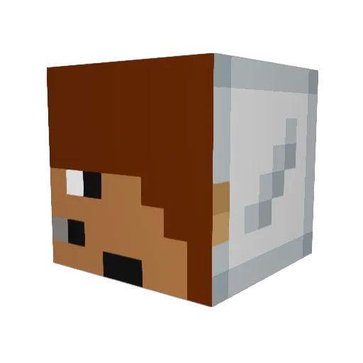 Swagbaby01 Minecraft avatar head, 3D render