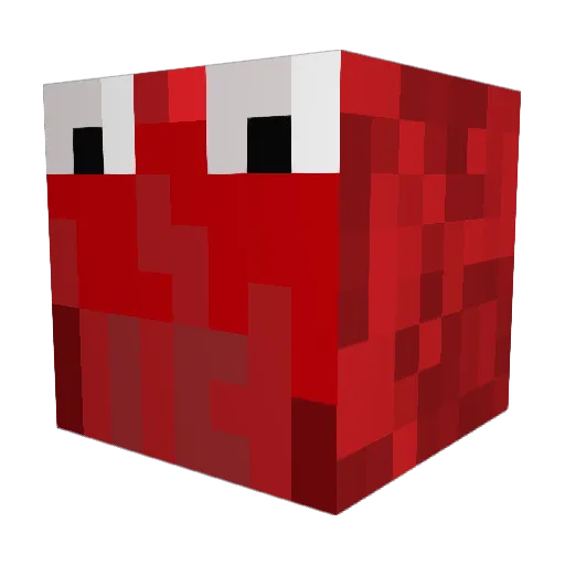 Swagbear6213 Minecraft avatar head, 3D render