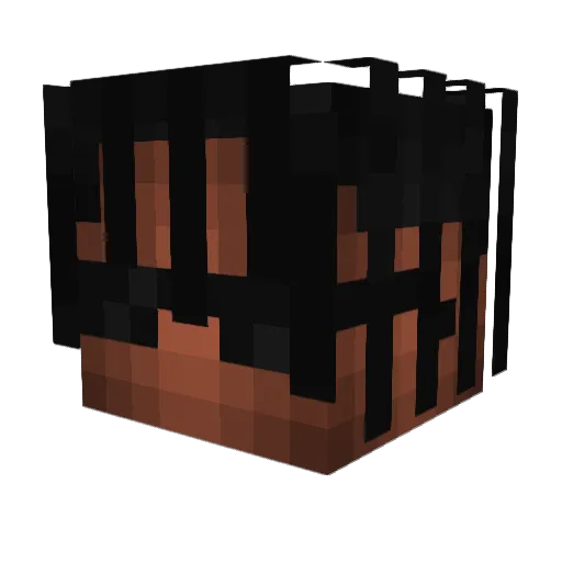 Swagcris Minecraft avatar head, 3D render