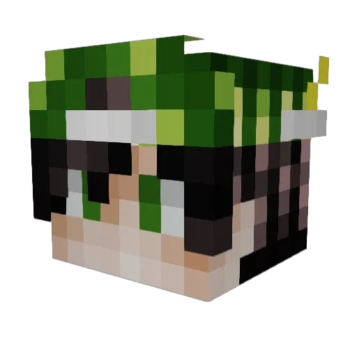 SwaggerSouls2 Minecraft avatar head, 3D render