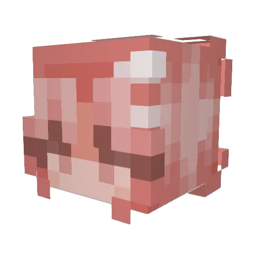 Swagggyyyy Minecraft avatar head, 3D render
