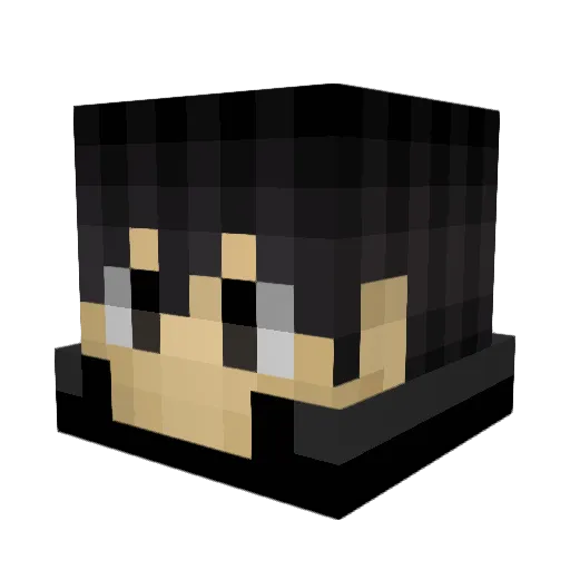 Swagglebottom Minecraft avatar head, 3D render
