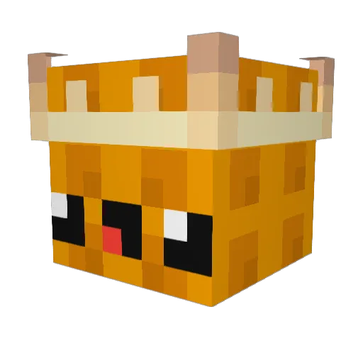 Swaggy9000 Minecraft avatar head, 3D render