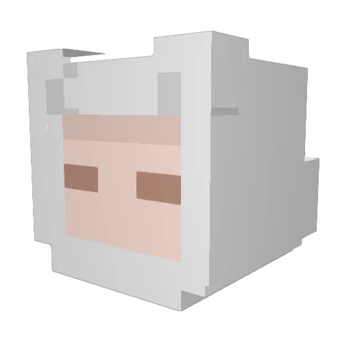 SwaggyB3ar Minecraft avatar head, 3D render