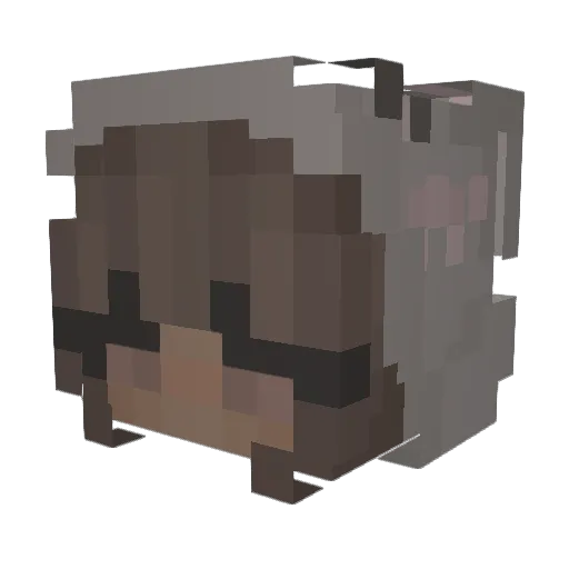Swaggy_Laina Minecraft avatar head, 3D render