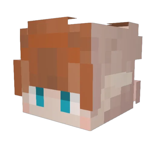Swaggyjfw Minecraft avatar head, 3D render