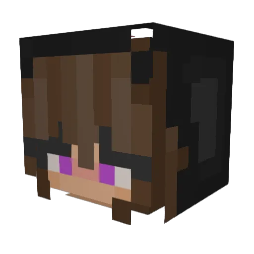 Swaggysocks Minecraft avatar head, 3D render