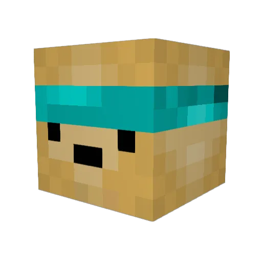 SwagicalBrotato Minecraft avatar head, 3D render