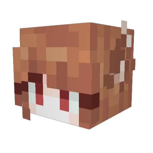 Swaglord524 Minecraft avatar head, 3D render