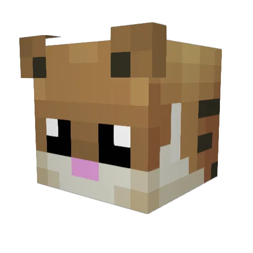 Swagmaster646 Minecraft avatar head, 3D render