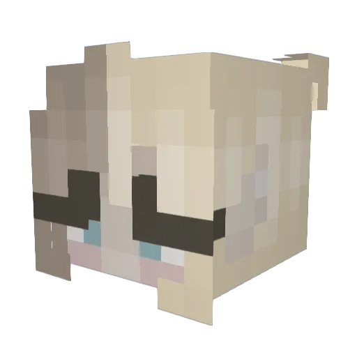 Swagmcplayer Minecraft avatar head, 3D render