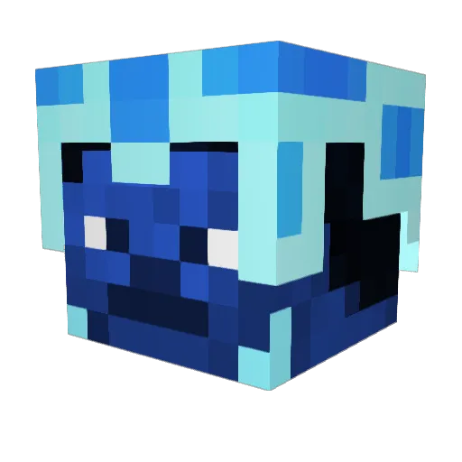 Swagtacular Minecraft avatar head, 3D render