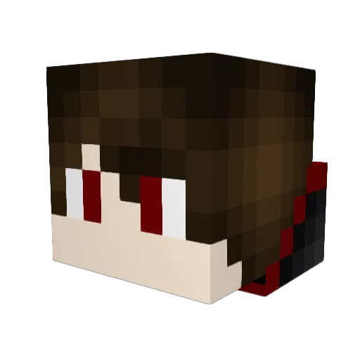 Swahgle Minecraft avatar head, 3D render