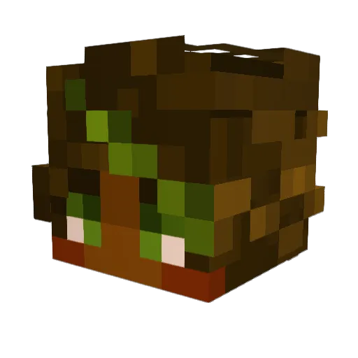 Minecraft-Avatar von Swain518: Kopf als 3D-Render