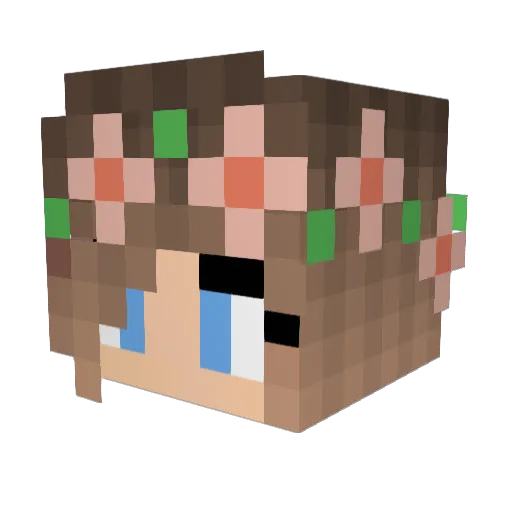 Swall20 Minecraft avatar head, 3D render