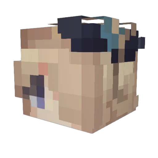 SwalloTail Minecraft avatar head, 3D render